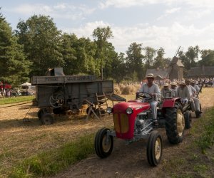 XX Podlaskie Święto Chleba - fotorelacja XX Podlaskie Święto Chleba - fotorelacja
