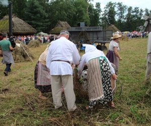 XVI Podlaskie Święto Chleba XVI Podlaskie Święto Chleba