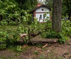 Nawałnica w Ciechanowcu Nawałnica w Ciechanowcu