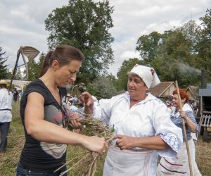 XVI Podlaskie Święto Chleba XVI Podlaskie Święto Chleba