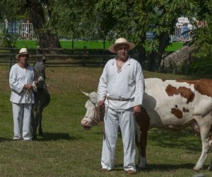 XX Podlaskie Święto Chleba - fotorelacja XX Podlaskie Święto Chleba - fotorelacja