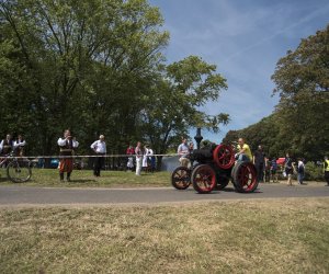 Piknik "Poznaj Zdrową Żywność" - fotorelacja
