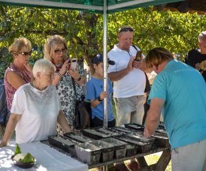 "Z kulturą ludową przez Podlasie" - fotorelacja