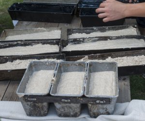 XX Podlaskie Święto Chleba - fotorelacja XX Podlaskie Święto Chleba - fotorelacja