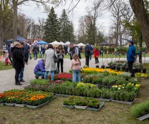 Jarmark św. Wojciecha 2022 - fotorelacja Jarmark św. Wojciecha 2022 - fotorelacja