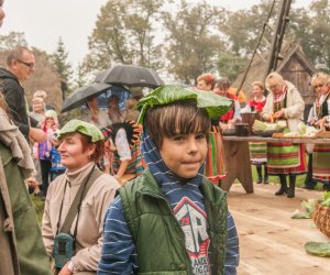 Wykopki w Skansenie 2013 Wykopki w Skansenie 2013