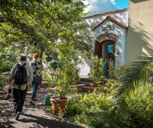 EDD 2018 w Muzeum Rolnictwa w Ciechanowcu - fotorelacja EDD 2018 w Muzeum Rolnictwa w Ciechanowcu - fotorelacja