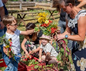 XXII Podlaskie Święto Chleba - fotorelacja XXII Podlaskie Święto Chleba - fotorelacja