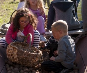JESIEŃ W POLU I ZAGRODZIE w ramach Europejskich Dni Dziedzictwa 18 września 2016 r.