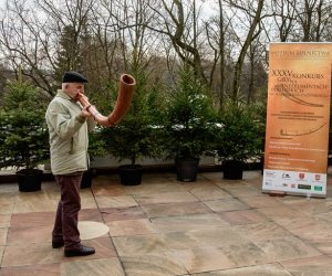 Galeria z 5 grudnia 2015 Galeria z 5 grudnia 2015