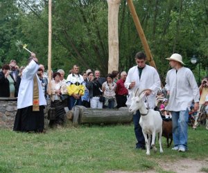 VIII PODLASKIE ŚWIĘTO CHLEBA VIII PODLASKIE ŚWIĘTO CHLEBA
