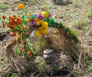 IX Podlaskie Święto Chleba IX Podlaskie Święto Chleba