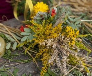 XX Podlaskie Święto Chleba - fotorelacja XX Podlaskie Święto Chleba - fotorelacja