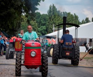Muzeum na Pikniku Poznaj Dobrą Żywność Muzeum na Pikniku Poznaj Dobrą Żywność
