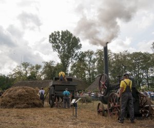XVI Podlaskie Święto Chleba XVI Podlaskie Święto Chleba