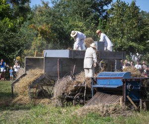 XXII Podlaskie Święto Chleba - fotorelacja XXII Podlaskie Święto Chleba - fotorelacja