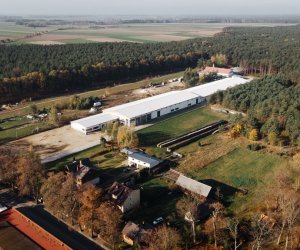 18 kwietnia - Międzynarodowy Dzień Ochrony Zabytków. Budowa Centralnego Magazynu Zbiorów wraz z częścią ekspozycyjną i centrum edukacyjnym. 18 kwietnia - Międzynarodowy Dzień Ochrony Zabytków. Budowa Centralnego Magazynu Zbiorów wraz z częścią ekspozycyjną i centrum edukacyjnym.