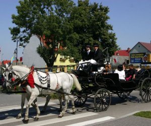 IX Podlaskie Święto Chleba IX Podlaskie Święto Chleba