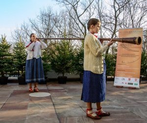 Galeria z 5 grudnia 2015 Galeria z 5 grudnia 2015