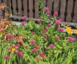 "Kwitnące Tradycje" "Kwitnące Tradycje"