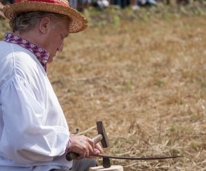 XVI Podlaskie Święto Chleba XVI Podlaskie Święto Chleba