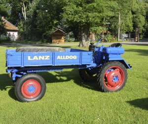 Wyglądają przepięknie Wyglądają przepięknie