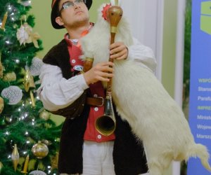 Galeria z 6 grudnia 2014 Galeria z 6 grudnia 2014