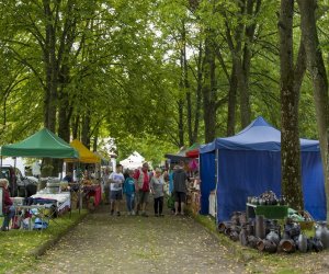 XVI Podlaskie Święto Chleba XVI Podlaskie Święto Chleba