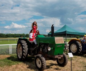 Muzeum na Pikniku Poznaj Dobrą Żywność