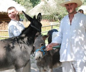 IX Podlaskie Święto Chleba IX Podlaskie Święto Chleba