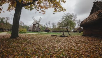 Zaproszenie na konferencję "Słoma, trzcina i wiklina"
