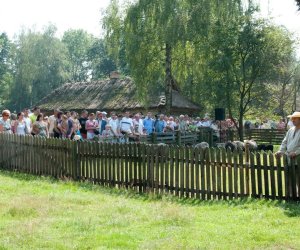 X PODLASKIE ŚWIĘTO CHLEBA