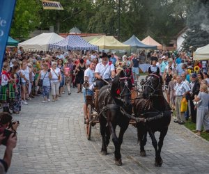 XIX Podlaskie Święto Chleba - fotorelacja XIX Podlaskie Święto Chleba - fotorelacja