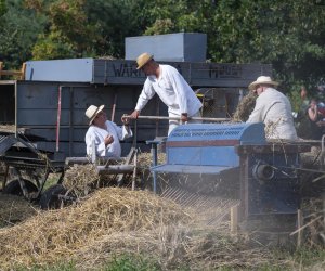 XXII Podlaskie Święto Chleba - fotorelacja