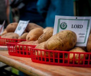Z Kulturą Ludową Przez Podlasie Z Kulturą Ludową Przez Podlasie