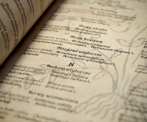 Zażycie Roślin Lekarskie, czyli wiadomość dla miłośników tradycyjnego ziołolecznictwa Zażycie Roślin Lekarskie, czyli wiadomość dla miłośników tradycyjnego ziołolecznictwa