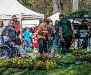 Jarmark św. Wojciecha A.D. 2023 - podsumowanie i fotorelacja Jarmark św. Wojciecha A.D. 2023 - podsumowanie i fotorelacja