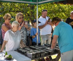 "Z kulturą ludową przez Podlasie" - fotorelacja "Z kulturą ludową przez Podlasie" - fotorelacja
