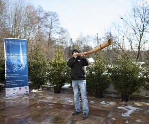 LIGAWKI 2016 - Fotorelacja z konkursu LIGAWKI 2016 - Fotorelacja z konkursu