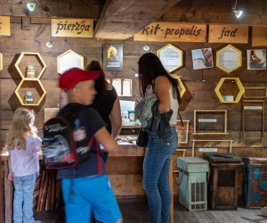 Noc Muzeów "Na ludowo" - 25 maja 2024 r. - fotorelacja