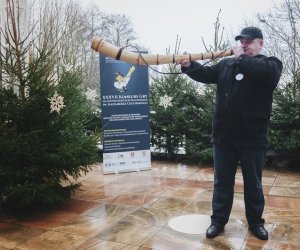 Ligawki 2017 - fotorelacja