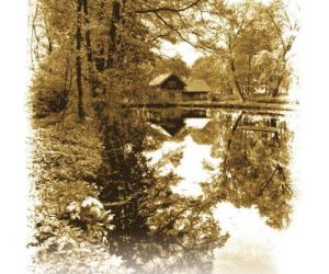 Promocja tomiku poezji pt. Biała szkatułka.