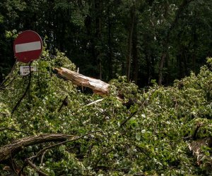 Nawałnica w Ciechanowcu Nawałnica w Ciechanowcu