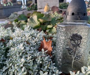 NIECOdziennik Muzealny - Ogrody Wiecznej Pamięci