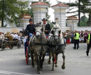 VII PODLASKIE ŚWIĘTO CHLEBA VII PODLASKIE ŚWIĘTO CHLEBA