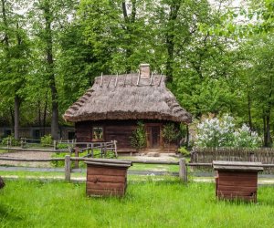 Ludowe Zielone Świątki - święto kościelne Zesłania Ducha Świętego, zamykającego cykl Wielkanocy 15 maja 2016 r. Ludowe Zielone Świątki - święto kościelne Zesłania Ducha Świętego, zamykającego cykl Wielkanocy 15 maja 2016 r.