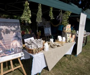 Piknik "Poznaj Zdrową Żywność" - fotorelacja