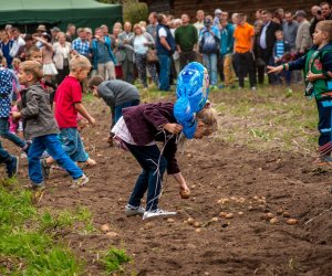 Jesień w polu i zagrodzie Jesień w polu i zagrodzie