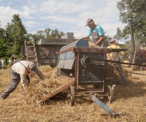 XVI Podlaskie Święto Chleba XVI Podlaskie Święto Chleba
