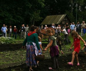 Wykopki w skansenie 2009